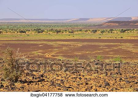 Desert landscape with tire tracks, route from Atar to Tidjikja, Adrar region, Mauritania, Africa View Large Photo Image Stock Photo - Desert landscape with tire tracks, route from Atar to Tidjikja, Adrar region, Mauritania, Africa. Fotosearch