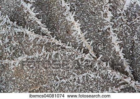 Detail, leaf with hoarfrost View Large Photo Image Picture - Detail, leaf with hoarfrost. Fotosearch