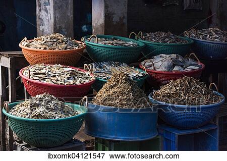 Different types of dried fish in plastic baskets on the market, Broadway Market, Ernakulum, Kerala, India, Asia View Large Photo Image Stock Photo - Different types of dried fish in plastic baskets on the market, Broadway Market, Ernakulum, Kerala, India, Asia. Fotosearch