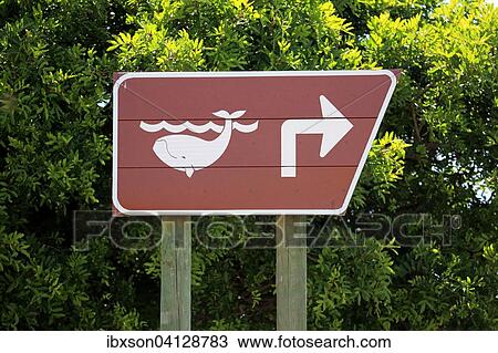 Direction sign, whale watching, Betty's Bay, Western Cape, South Africa, Africa View Large Photo Image Stock Image - Direction sign, whale watching, Betty's Bay, Western Cape, South Africa, Africa. Fotosearch