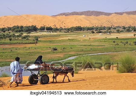 Donkey cart being pushed through the soft sand, Moudjeria, Tagant region, Mauritania, Africa View Large Photo Image Stock Image - Donkey cart being pushed through the soft sand, Moudjeria, Tagant region, Mauritania, Africa. Fotosearch