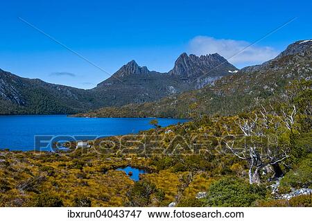 Dove Lake and Cradle Mountain, Tasmania View Large Photo Image Stock Photo - Dove Lake and Cradle Mountain, Tasmania. Fotosearch