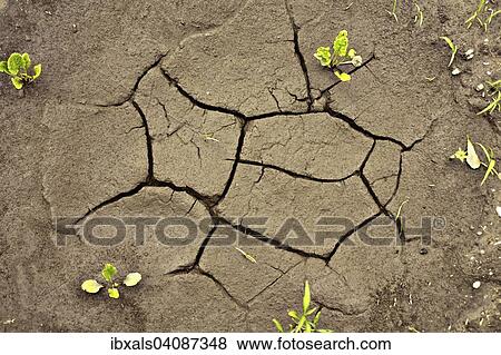 Dried puddle on a field, Austria, Europe View Large Photo Image Stock Photo - Dried puddle on a field, Austria, Europe. Fotosearch