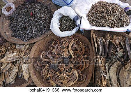 Dry fish on the market in Maing Thauk, Inle Lake, Shan State, Myanmar, Asia View Large Photo Image Stock Photograph - Dry fish on the market in Maing Thauk, Inle Lake, Shan State, Myanmar, Asia. Fotosearch