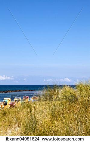 Picture - Dunes, Baltic Sea, Wustrow, Fischland-Zingst, Western Pomerania Lagoon Area National Park, Mecklenburg-Western Pomerania, Germany, Europe. Fotosearch