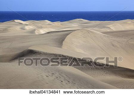 Dunes, Maspalomas Dunes Nature Reserve, Gran Canaria, Canary Islands, Spain, Europe View Large Photo Image Stock Image - Dunes, Maspalomas Dunes Nature Reserve, Gran Canaria, Canary Islands, Spain, Europe. Fotosearch