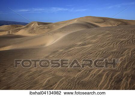 Stock Image - Dunes, Maspalomas Dunes Nature Reserve, evening light, Gran Canaria, Canary Islands, Spain, Europe. Fotosearch