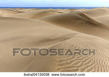 Dunes, Maspalomas Dunes Nature Reserve, Gran Canaria, Canary Islands, Spain, Europe View Large Photo Image Stock Photo - Dunes, Maspalomas Dunes Nature Reserve, Gran Canaria, Canary Islands, Spain, Europe. Fotosearch