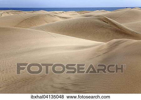 Dunes, Maspalomas Dunes Nature Reserve, Gran Canaria, Canary Islands, Spain, Europe View Large Photo Image Stock Photo - Dunes, Maspalomas Dunes Nature Reserve, Gran Canaria, Canary Islands, Spain, Europe. Fotosearch