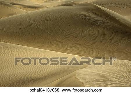 Stock Photo - Dunes, Maspalomas Dunes Nature Reserve, Gran Canaria, Canary Islands, Spain, Europe. Fotosearch