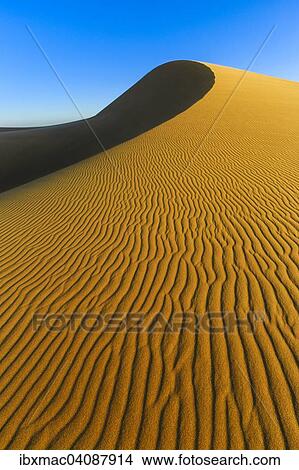 Dunes of the Namib Desert, dune belt, Langstrand, also Long Beach, Swakopmund, Namibia, Africa View Large Photo Image Picture - Dunes of the Namib Desert, dune belt, Langstrand, also Long Beach, Swakopmund, Namibia, Africa. Fotosearch
