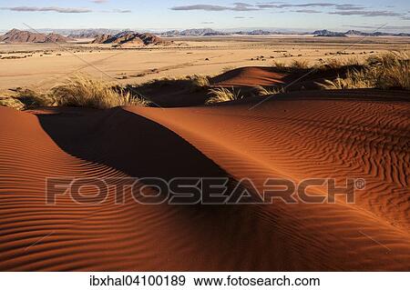 Elim Dune, view onto grass steppe at Sesriem Camp, Namib Desert, Namib Naukluft Park, Namibia, Africa View Large Photo Image Stock Photo - Elim Dune, view onto grass steppe at Sesriem Camp, Namib Desert, Namib Naukluft Park, Namibia, Africa. Fotosearch