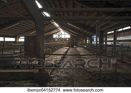 Empty, outdated exercise pen for dairy cows, Bavaria, Germany, Europe View Large Photo Image Picture - Empty, outdated exercise pen for dairy cows, Bavaria, Germany, Europe. Fotosearch