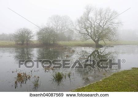 Stock Photo - Ems river floodplains in the fog, Emsland, Lower Saxony, Germany, Europe. Fotosearch