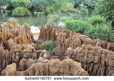 Stock Image - Erosion on the banks of the Zambezi River, flooded riverine forest behind, Lower Zambezi National Park, Zambia, Africa. Fotosearch