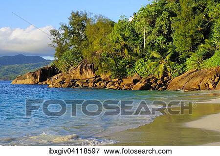 Stock Photo - Evening light on the beach of Anse Soleil, Mahe Island, Seychelles, Africa. Fotosearch