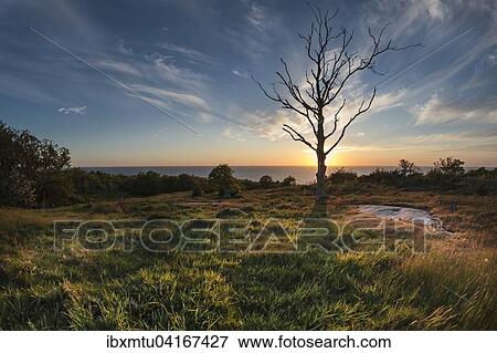 Evening mood on Hammeren headland, Bornholm, Denmark, Europe View Large Photo Image Stock Photo - Evening mood on Hammeren headland, Bornholm, Denmark, Europe. Fotosearch