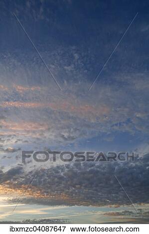 Evening sky with clouds, Altocumulus stratiformis clouds View Large Photo Image Stock Photo - Evening sky with clouds, Altocumulus stratiformis clouds. Fotosearch