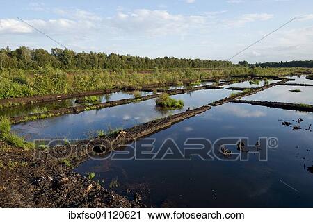 Excavated moorland prepared for renaturation, Great Moor nature reserve, Lower Saxony, Germany, Europe View Large Photo Image Stock Image - Excavated moorland prepared for renaturation, Great Moor nature reserve, Lower Saxony, Germany, Europe. Fotosearch