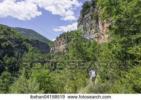 Faja track through the canyon of the Rio Aso, Fanlo, Aragon, Spain, Europe View Large Photo Image Stock Photo - Faja track through the canyon of the Rio Aso, Fanlo, Aragon, Spain, Europe. Fotosearch
