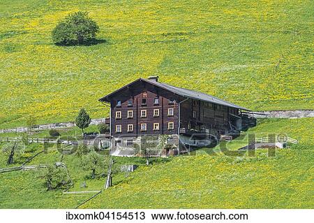 Farmhouse and spring meadow, near Pragraten am Grossvenediger, Virgental valley, East Tyrol, Austria, Europe View Large Photo Image Stock Image - Farmhouse and spring meadow, near Pragraten am Grossvenediger, Virgental valley, East Tyrol, Austria, Europe. Fotosearch