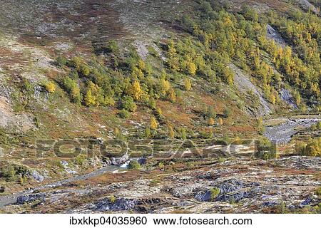 Fjell landscape in autumn, Rondane National Park, Norway, Europe View Large Photo Image Stock Image - Fjell landscape in autumn, Rondane National Park, Norway, Europe. Fotosearch