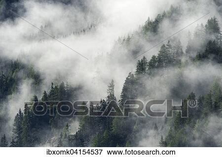 Fog above the forest, Pragraten am Grossvenediger, Virgental valley, East Tyrol, Austria, Europe View Large Photo Image Stock Photo - Fog above the forest, Pragraten am Grossvenediger, Virgental valley, East Tyrol, Austria, Europe. Fotosearch