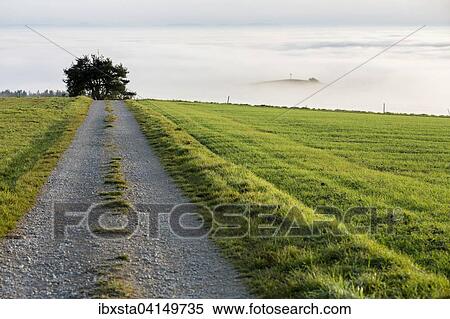 Foggy view of Bisberg with summit cross, Hegau, Baden-Wurttemberg, Germany, Europe View Large Photo Image Stock Photography - Foggy view of Bisberg with summit cross, Hegau, Baden-Wurttemberg, Germany, Europe. Fotosearch