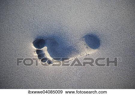 Footprint in the sand, on the beach, Greece, Europe View Large Photo Image Stock Photo - Footprint in the sand, on the beach, Greece, Europe. Fotosearch
