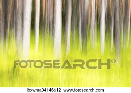 Forest in spring, modified View Large Photo Image Stock Image - Forest in spring, modified. Fotosearch
