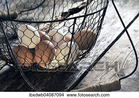 Fresh eggs in a basket View Large Photo Image Picture - Fresh eggs in a basket. Fotosearch