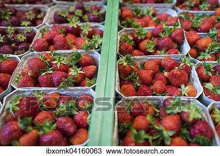 Fresh strawberries in punnets, Baden-Wurttemberg, Germany, Europe View Large Photo Image Stock Image - Fresh strawberries in punnets, Baden-Wurttemberg, Germany, Europe. Fotosearch