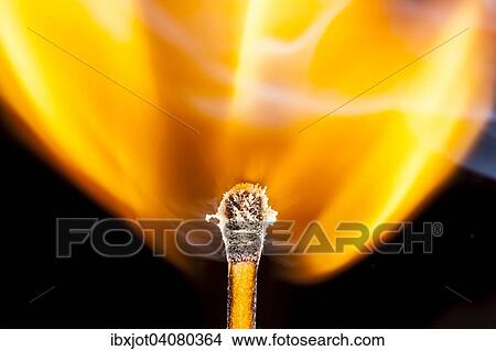Freshly ignited match, flame at the match head View Large Photo Image Picture - Freshly ignited match, flame at the match head. Fotosearch