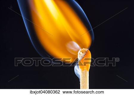Freshly ignited match, flame at the match head View Large Photo Image Stock Image - Freshly ignited match, flame at the match head. Fotosearch