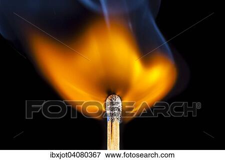 Freshly ignited match, flame at the match head View Large Photo Image Stock Photo - Freshly ignited match, flame at the match head. Fotosearch