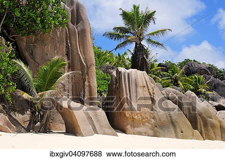Granite rocks and palm trees on Anse la Reunion beach, La Digue Island, La Digue and Inner Islands, Seychelles, Africa View Large Photo Image Stock Photo - Granite rocks and palm trees on Anse la Reunion beach, La Digue Island, La Digue and Inner Islands, Seychelles, Africa. Fotosearch