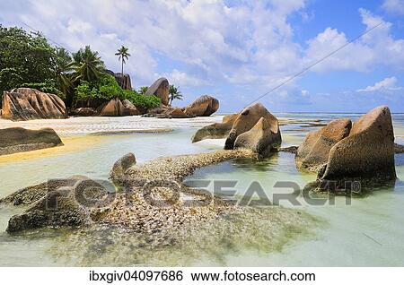 Granite rocks and palm trees on Anse la Reunion beach, La Digue island, La Digue and Inner Islands, Seychelles, Africa View Large Photo Image Stock Photograph - Granite rocks and palm trees on Anse la Reunion beach, La Digue island, La Digue and Inner Islands, Seychelles, Africa. Fotosearch