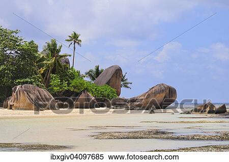 Granite rocks and palm trees on Anse la Reunion beach, La Digue Island, La Digue and Inner Islands, Seychelles, Africa View Large Photo Image Stock Photography - Granite rocks and palm trees on Anse la Reunion beach, La Digue Island, La Digue and Inner Islands, Seychelles, Africa. Fotosearch