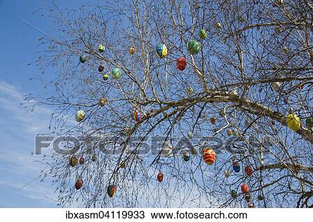 Hand-painted ostrich eggs hanging on a tree, Bad Schallerbach, Austria, Europe View Large Photo Image Stock Image - Hand-painted ostrich eggs hanging on a tree, Bad Schallerbach, Austria, Europe. Fotosearch