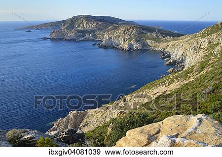 Headland, at Calvi, Haute-Corse, Corsica, France, Europe View Large Photo Image Stock Photo - Headland, at Calvi, Haute-Corse, Corsica, France, Europe. Fotosearch