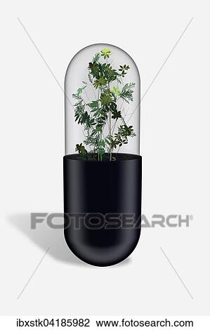 Stock Image - Herbs in capsule, pill. Fotosearch