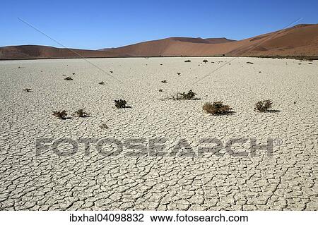 Hidden Vlei, salt and clay pan, sand dunes, Namib Desert, Namib Naukluft Park, Namibia, Africa View Large Photo Image Stock Image - Hidden Vlei, salt and clay pan, sand dunes, Namib Desert, Namib Naukluft Park, Namibia, Africa. Fotosearch