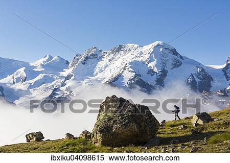 Hiker on the Hohbalmen trail, the Monte Rosa group at the back, Zermatt, Canton of Valais, Switzerland, Europe View Large Photo Image Stock Photography - Hiker on the Hohbalmen trail, the Monte Rosa group at the back, Zermatt, Canton of Valais, Switzerland, Europe. Fotosearch