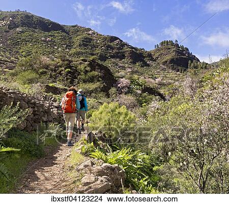 Hikers in the Barranco de Guayadeque canyon, near Aguimes, Gran Canaria, Canary Islands, Spain, Europe View Large Photo Image Picture - Hikers in the Barranco de Guayadeque canyon, near Aguimes, Gran Canaria, Canary Islands, Spain, Europe. Fotosearch