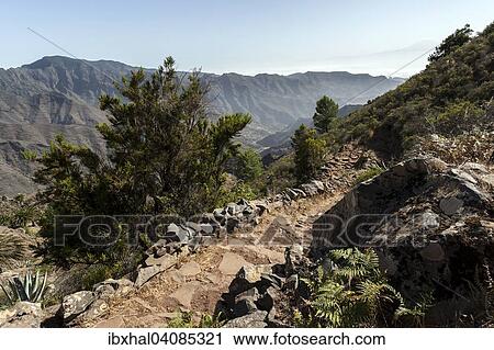 Hiking trail from the Mirador Degollada de Paraza to La Laja, La Gomera, Canary Islands, Spain, Europe View Large Photo Image Stock Image - Hiking trail from the Mirador Degollada de Paraza to La Laja, La Gomera, Canary Islands, Spain, Europe. Fotosearch