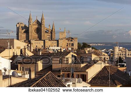 Historic centre and Cathedral La Seu in evening light, Palma de Mallorca, Majorca, Balearic Islands, Spain, Europe View Large Photo Image Stock Image - Historic centre and Cathedral La Seu in evening light, Palma de Mallorca, Majorca, Balearic Islands, Spain, Europe. Fotosearch