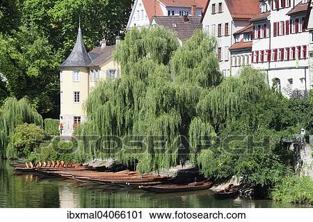 Holderlin Tower and punts on the Neckar river, Tubingen, Baden-Wurttemberg, Germany, Europe View Large Photo Image Stock Image - Holderlin Tower and punts on the Neckar river, Tubingen, Baden-Wurttemberg, Germany, Europe. Fotosearch