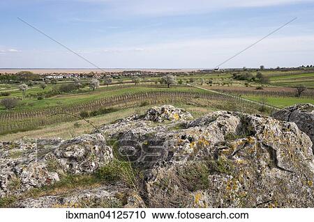 Holzlstein rock, Oggau am Neusiedler See, Northern Burgenland, Burgenland, Austria, Europe View Large Photo Image Stock Image - Holzlstein rock, Oggau am Neusiedler See, Northern Burgenland, Burgenland, Austria, Europe. Fotosearch