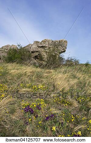 Holzlstein rock, Oggau am Neusiedler See, Northern Burgenland, Burgenland, Austria, Europe View Large Photo Image Stock Photo - Holzlstein rock, Oggau am Neusiedler See, Northern Burgenland, Burgenland, Austria, Europe. Fotosearch
