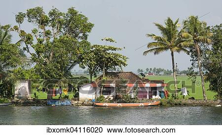 Houses and trees, rice paddies behind, Backwaters canal system in Alappuzha, Kerala, India, Asia View Large Photo Image Stock Image - Houses and trees, rice paddies behind, Backwaters canal system in Alappuzha, Kerala, India, Asia. Fotosearch